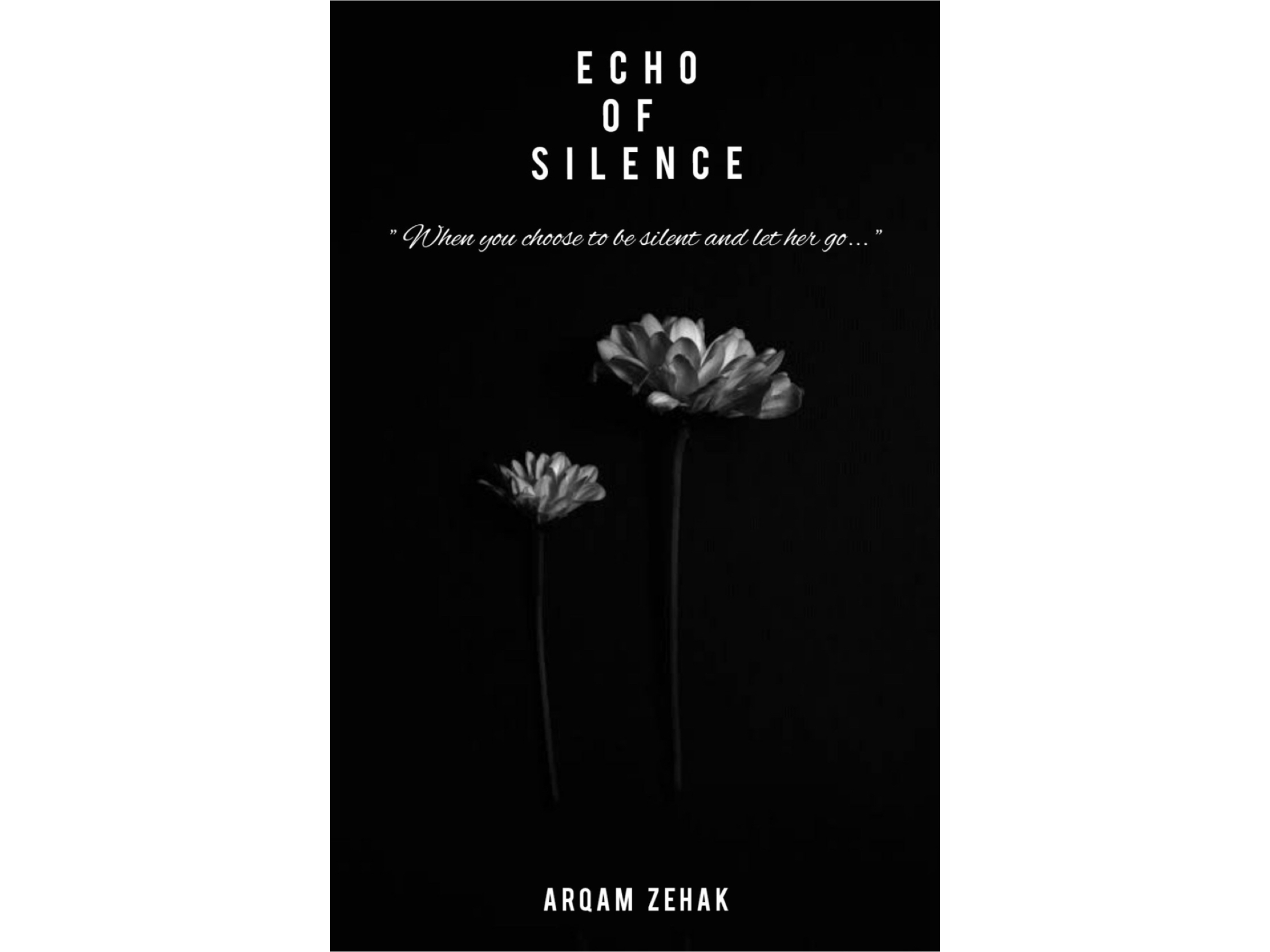 Echo of silence by Arqam Zehak