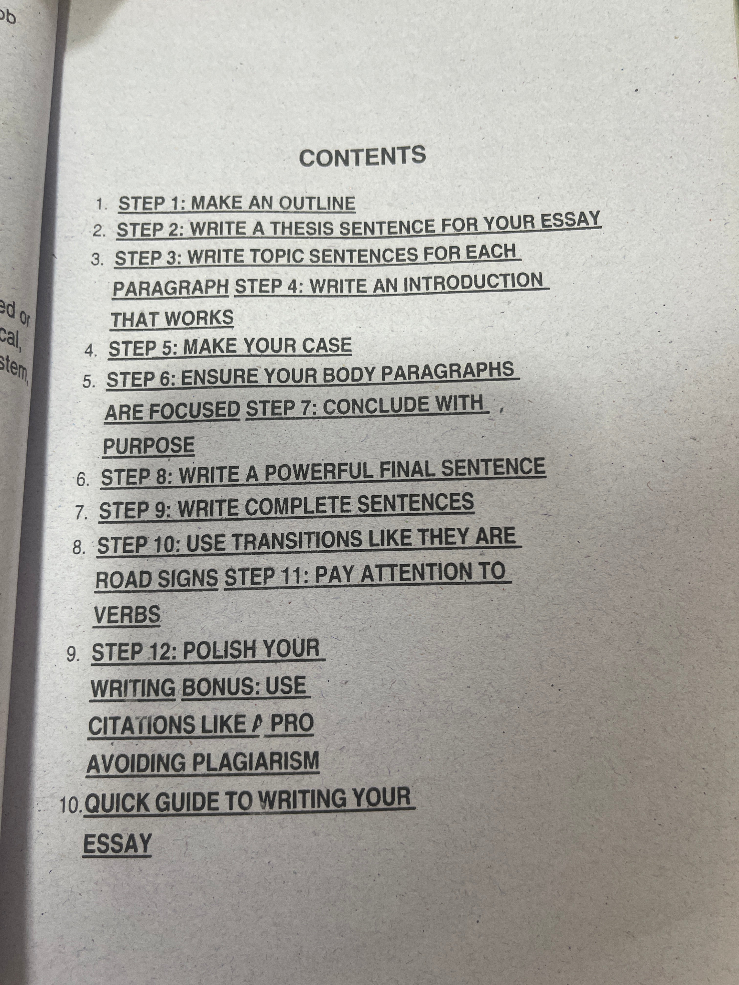 A Professor's Guide to Writing Essays: The No-Nonsense Plan for Better Writing by Jacob Neumann