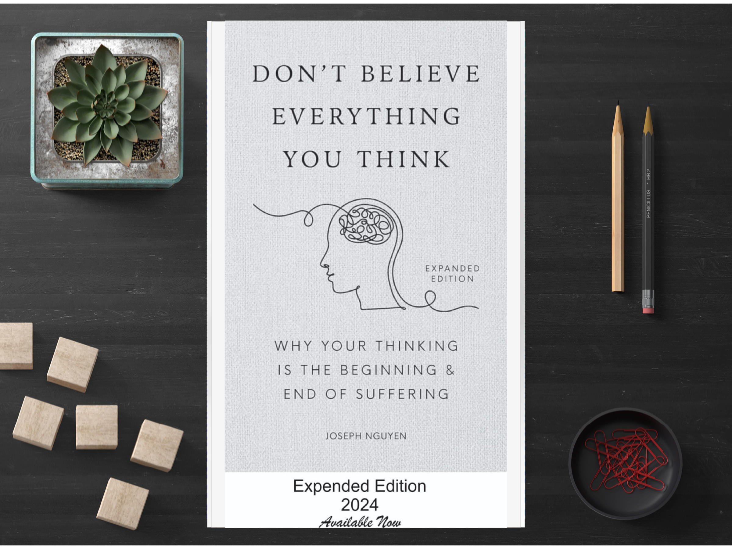 Don’t Believe Everything You Think (A+ Quality)