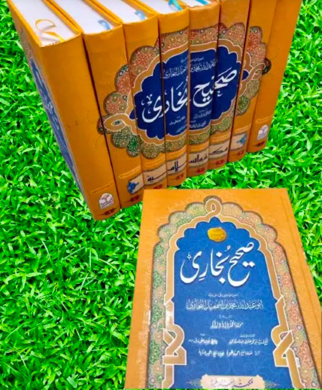 Sahih Bukhari Takhreej Shuda (8 Volume) (Simple Edition)
(لوکل کاغذ) صحیح بخاری تخریج شدہ8 جلد