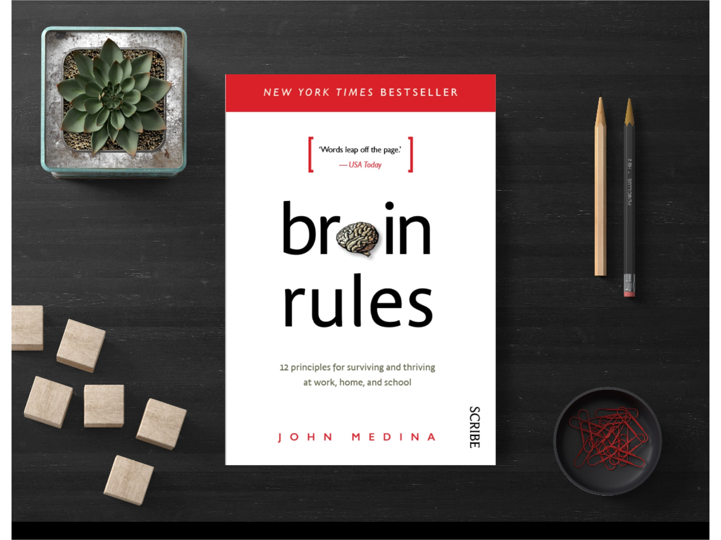 Brain Rules: 12 Principles for Surviving and Thriving at Work, Home, and School by John Medina (A+ Quality)