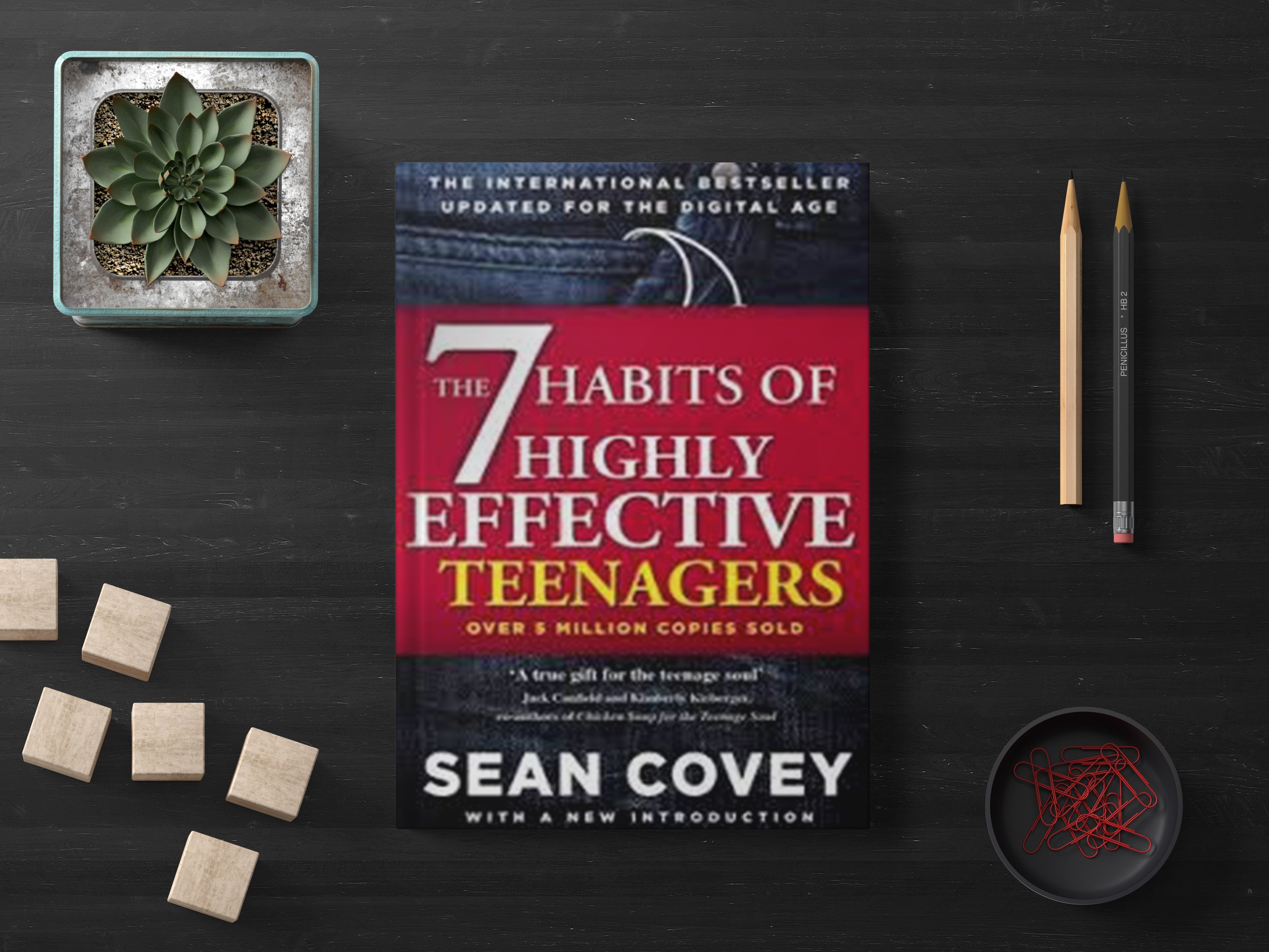7 Habits of Highly Effective Teenagers