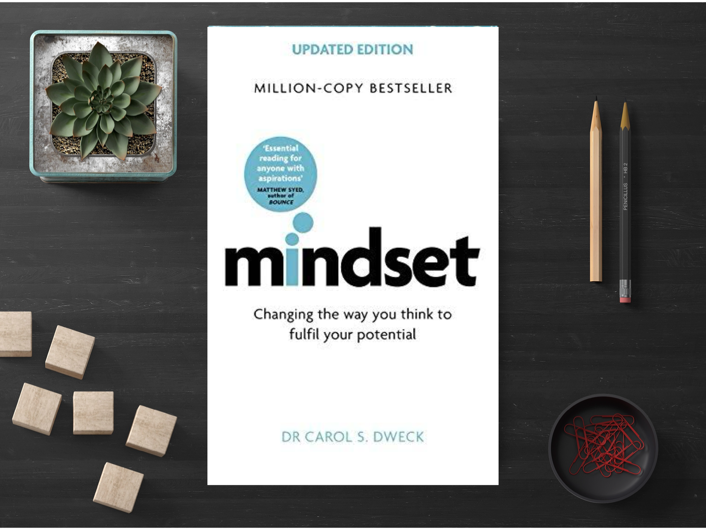 Mindset by Carol S. Dweck (A+ Quality)