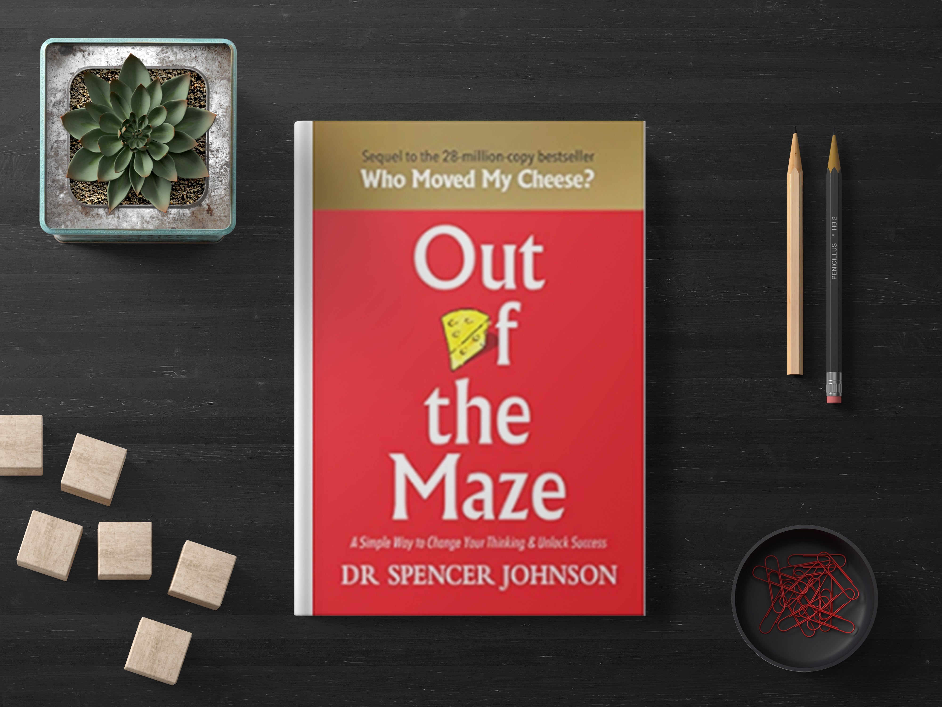 Out of the Maze by DR Spencer Johnson (A+ Quality ) - KitabBazaar.pk