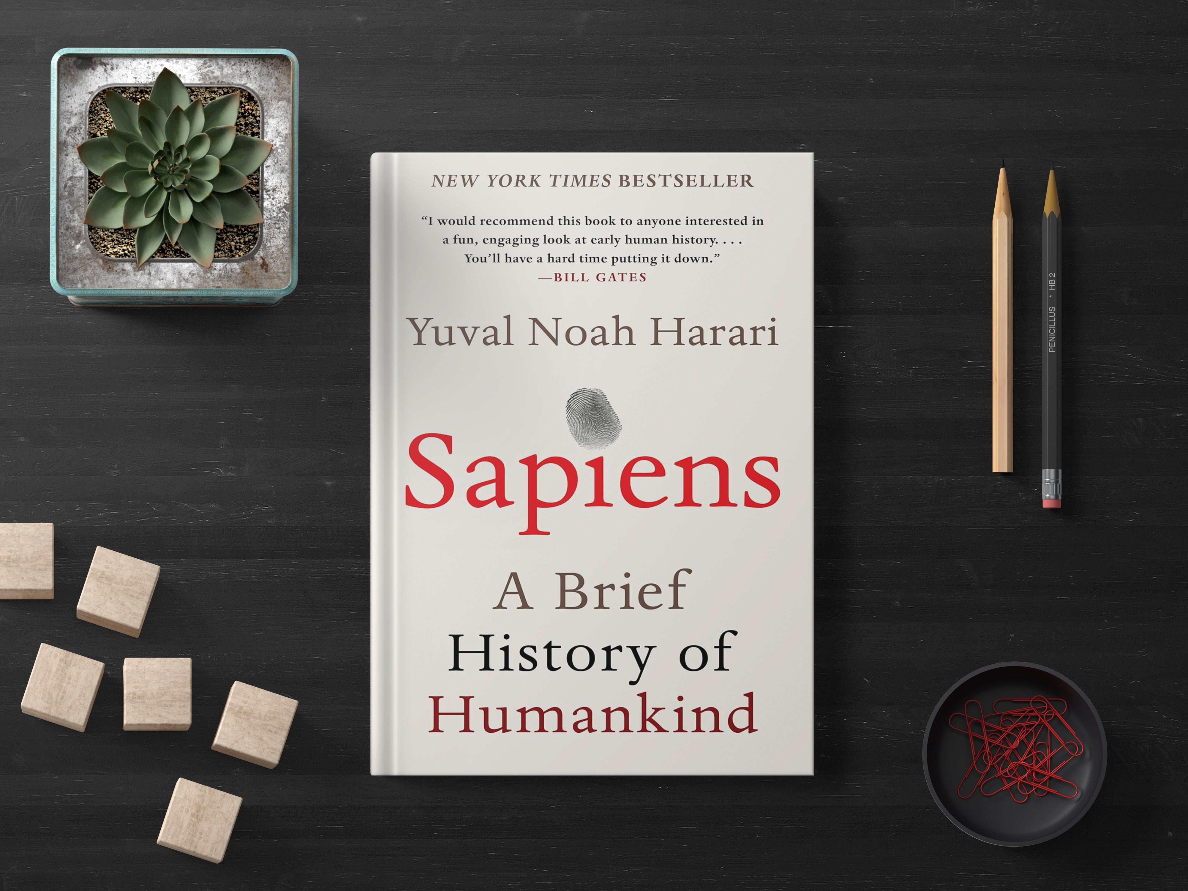 Sapiens by yuval Noah Harari (A+ Quality)- Kitab Bazaar.pk